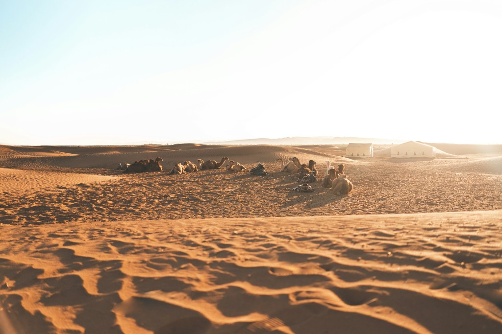 Private 2 Days Desert Tour to Zagora from Marrakech